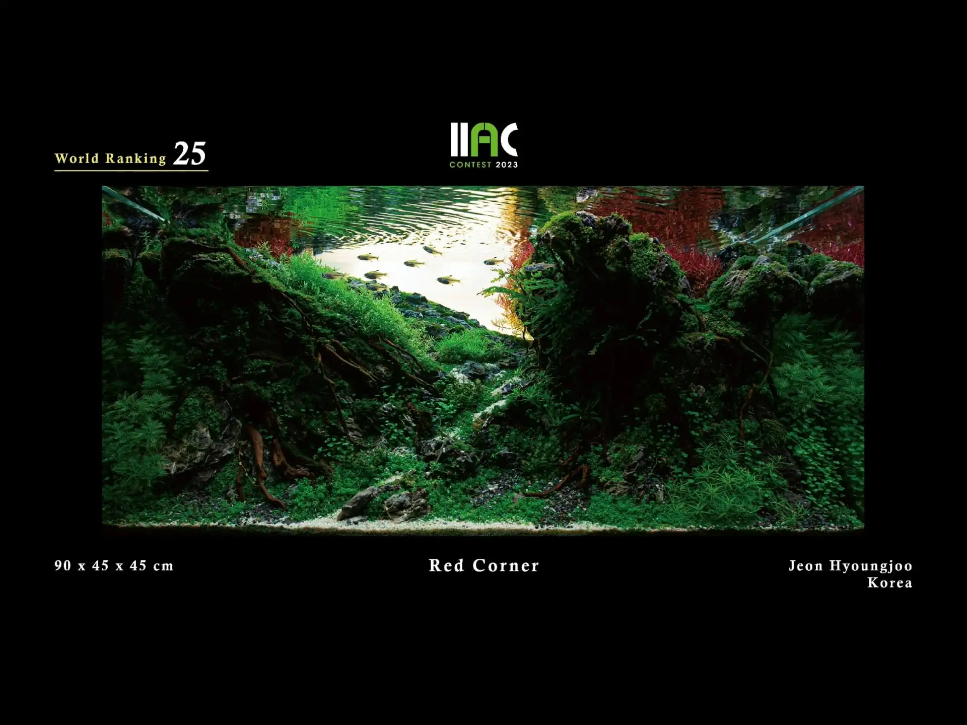 Red Corner - IIAC 2023 #25 Jeon Hyoungjoo / South Korea